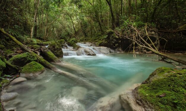 Rio el Mulito en Pedernales: El Río Cristalino que pocos Conocen